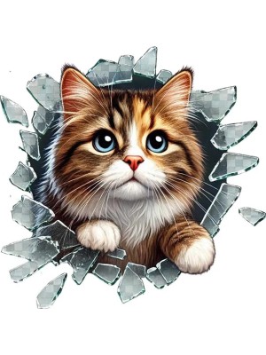 Runaway Stray Serisi Araç Stickerı Fulcar Modeli