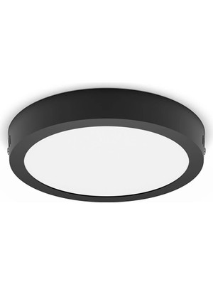 Philips Magneos Rd 12W 2700K Siyah Plafonyer IP20