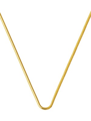 Bilezikci 14 Ayar Altın Balıksırtı Zincir - 55cm