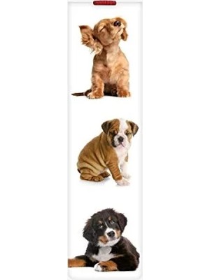 Calperia Öğrenme Sürecine Yardımcı Tasarım - Dogs Kitabı