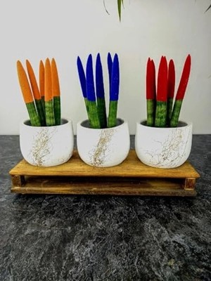 Calperia Beyaz Gold Mermer Efektli Üçlü Ahşap Tabanlı Saksı Seti