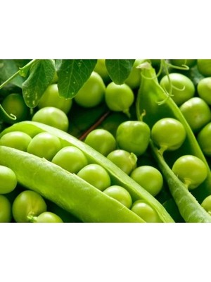 Hakay Doğal Bezelye Tohumu - Yüksek Kalite