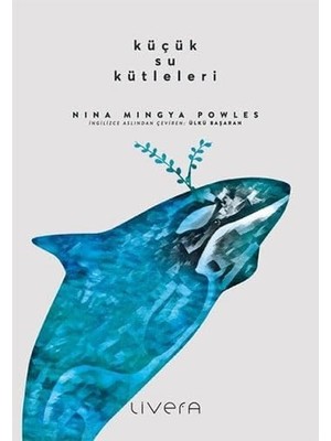 Uray Home Küçük Su Kütleleri