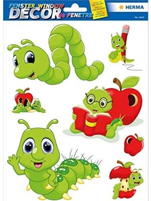 MiraLive Window Cam Yüzey Etiketi