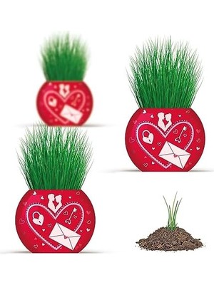 Emdeco Aşk Temalı 6'lı Çim Adam Bitki Yetiştirme Seti – Romantik ve Eğlenceli Hediye