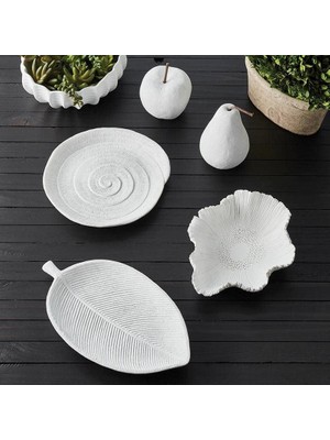 Asseds Store 47TH & Kıyı Kabuklu Kase Masa Için Ev Dekoru, 9" U x 7" G x 3.25" Y, Mat Beyaz