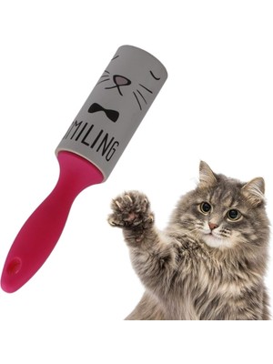 Asseds Store Evcil Hayvan Tüy Alma ve Toz Temizleme Rulosu, Pratik, Yapışkanlı, 50 Yaprak