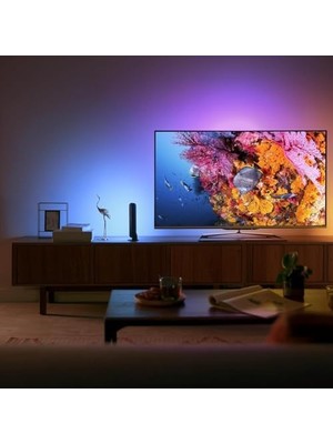 MiraLive Hue Play Pack Ambiance Beyaz ve Renkli, Siyah, 2.6.6W Temel Paket Kiti, Alexa, Assistant ve Homekit ile Çalışır
