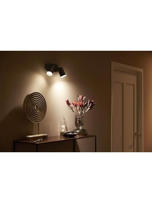 Asseds Store Hue Fugato Çift Spot Renkli Akıllı LED Armatür, Siyah, 2X4.2W