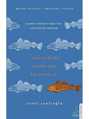 Asseds Store Issız Yerlerde Kendin Için Bir Evren Ol