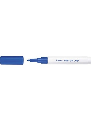 Ecovibe Pilot Pintor F, Metalik Mor