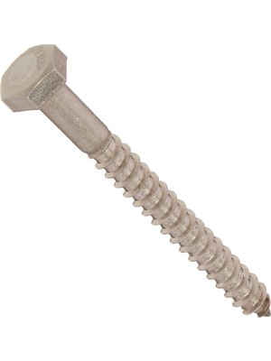 Ecovibe The Group 832010 1/4 x 2-1/2-Inç Paslanmaz Çelik Altıgen Uçlu Vida, 25'li Paket