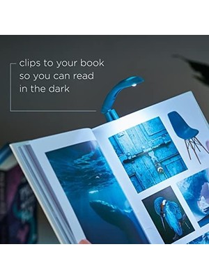 Ecovibe If Tiny Book Light - Blue