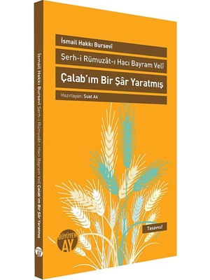 Ecovibe Şerh-I Rümuzat-I Hacı Bayram Veli - Çalab’ım Bir Şar Yaratmış: Hacı Bayram Veli Hazretleri'ne Ait Manası Gizli Sözlerin Şerhi: Hacı Bayram Veli Hazretleri'ne Ait Manasım Gizli Sözlerin Şerhi