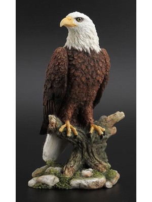 Es Dekor Wıse Kel Kartal Ebat:    13*9,5*22 cm Hayvanlar Alemi