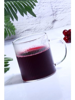 Daders Home Porselen Diyarı Üfleme Cam Kulplu Kupa Bardak Şeffaf