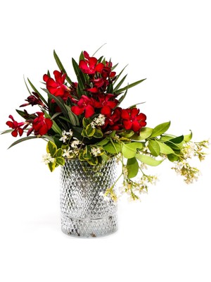 Daders Home Missi Cam Vazo/mumluk (14 Cm)