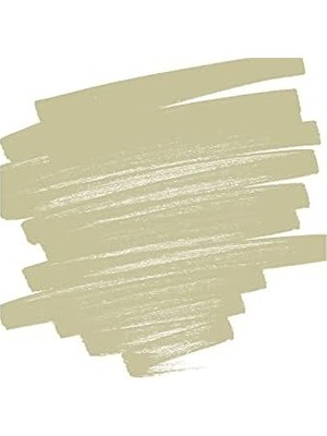 DMR Home Pilot Pintor B, Altın