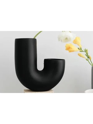 Vivense Iskandinav J Vazo, Siyah