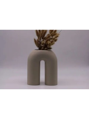 Vivense Iskandinav Moni Vazo, Vizon