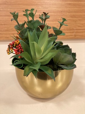 Plus Home Yapay Çiçek Skulent Karışık Renk Papatya Model Pirinç Saksı Içi Arajman Altın Boy 21 Çevre Çap 48