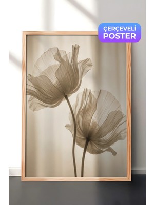 Zestia Ahşap Çerçeveli  Duvar Tablosu Şeffaf Gelincik Çiçeği Nötr Ton Minimal Fotoğraf Salon Dekoru