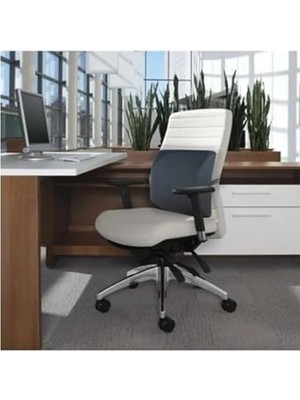 Calperia Ortopedik Ofis Koltuk Sandalye Bel Destek Yastık Minderi Sırt Dayama Yastığı