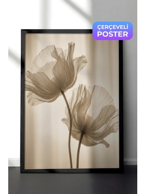 Zestia Siyah Çerçeveli  Duvar Tablosu Şeffaf Gelincik Çiçeği Nötr Ton Minimal Fotoğraf Salon Dekoru