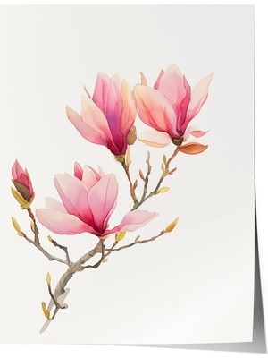Zestia Premium Poster Pembe Manolya Dalları Minimal Botanik Çiçek Çizimi Yatak Odası Dekoru