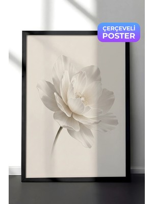 Zestia Siyah Çerçeveli  Duvar Tablosu Beyaz Lotus Sessizliği Nötr Minimal Çiçek Yatak Odası Dekoru