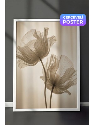 Zestia Beyaz Çerçeveli  Duvar Tablosu Şeffaf Gelincik Çiçeği Nötr Ton Minimal Fotoğraf Salon Dekoru