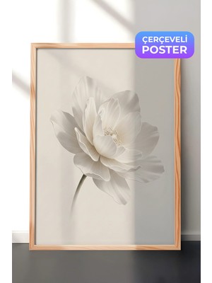 Zestia Ahşap Çerçeveli  Duvar Tablosu Beyaz Lotus Sessizliği Nötr Minimal Çiçek Yatak Odası Dekoru