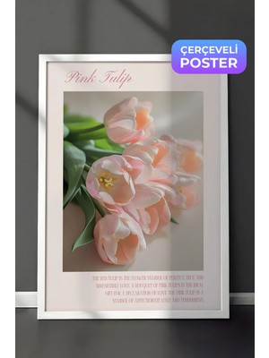 Zestia Beyaz Çerçeveli Duvar Tablosu Pembe Laleler Romantik Bahar Çiçekleri Yatak Odası Dekoru