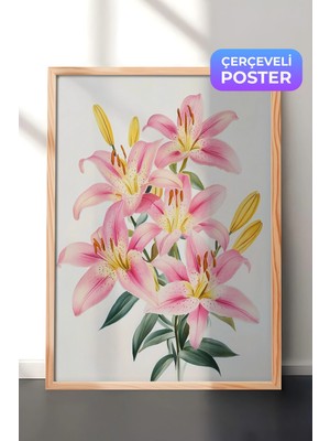 Zestia Ahşap Çerçeveli Duvar Tablosu Pembe Zambak Çiçekleri Zarif Botanik Illüstrasyon Yatak Odası Dekoru