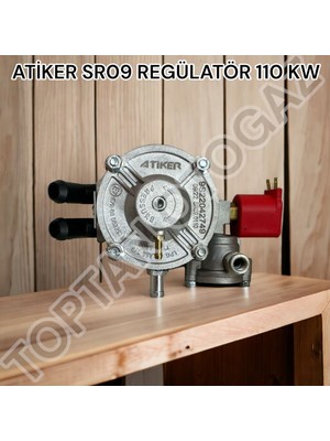 Sıralı Sistem Beyin Kesicili Regülatör SR09 110 Kw, Yeni Üretim