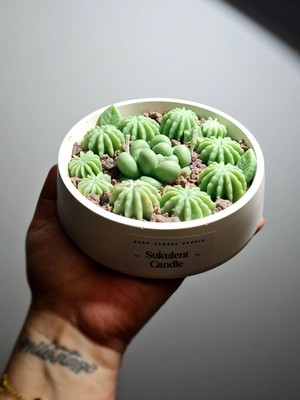 Dust Candle Studio Sukulent Kokulu Dekoratif Mum