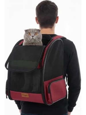 Esranın Dünyası Silinebilir, Yırtılmaz Fileli Kedi Köpek Taşıma Çantası - Kırmızı