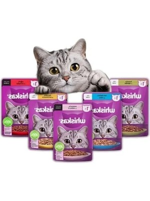 Esranın Dünyası Mega Paket Kedi Maması, 20 Adet Karışık Çeşit