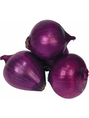 Esranın Dünyası Doğal Mor Soğan Tohumu