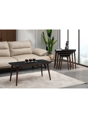 Vivense Luci Dörtlü Zigon Sehpa Orta Sehpa Seti, Siyah