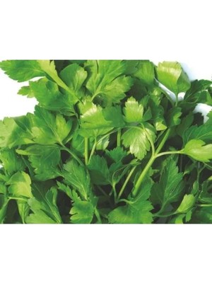 Esranın Dünyası Doğal Iri Yaprak Maydanoz Tohumu - 10 Gram