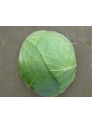 Esranın Dünyası Beyaz Lahana Tohumu - Aksel 10 gr