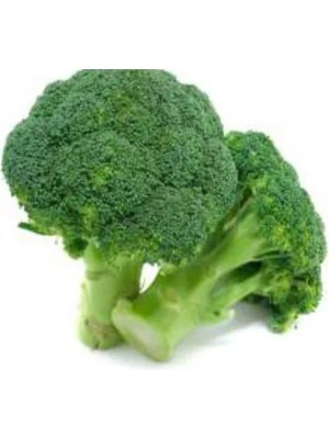 Esranın Dünyası Doğal Brokoli Tohumu