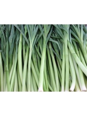 Esranın Dünyası Doğal Pırasa Tohumu - 10 gr