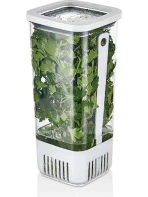 Esranın Dünyası Kare Şekilli Gıda Saklama Kabı, 1700 ml