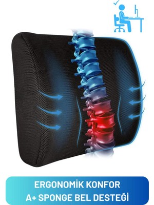 Ortopedik Ofis ve Araç Bel Destek Yastığı, Sırt Minderi, Ergonomik Tasarım