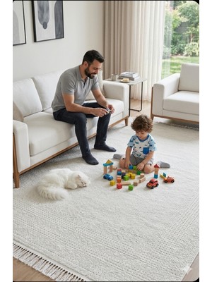 Merinos Lux Ipek Halı Modern Halı