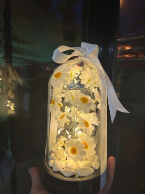 By Shopping Dekoratif LED Işıklı Papatya Fanusu El Yapımı 12 x 24 cm ABS Plastik Sevgiliye Özel Öğretmenler Günü Hediyelik