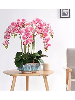 Esranın Dünyası Yüksek Kaliteli Clave - Dayanıklı ve Uygun Fiyatlı