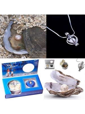 Akinco Istiridye Içinde Inci Kolye Seti